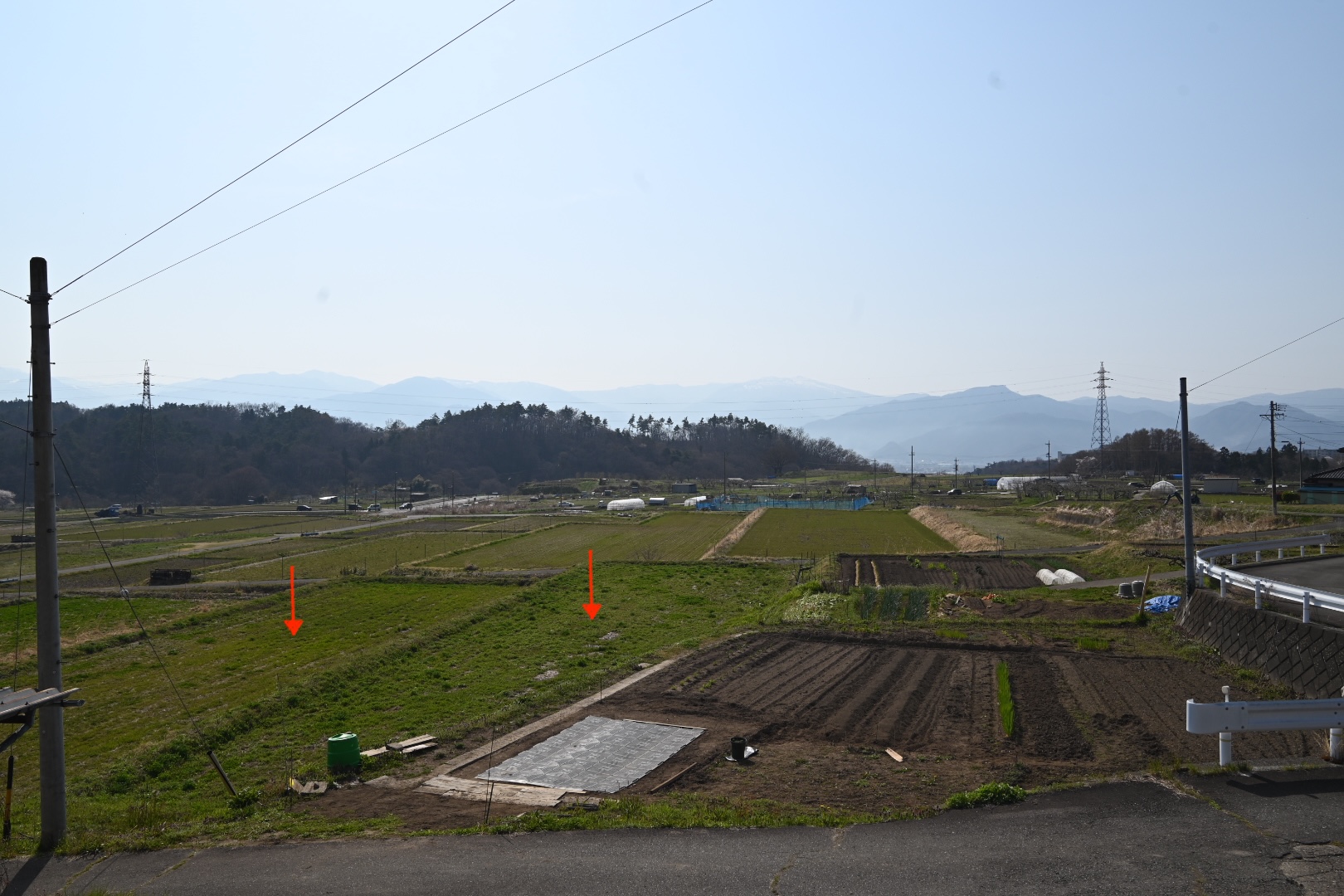 田んぼ